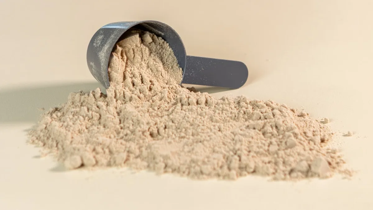 en vacances emportez vos proteines en poudre avec vous pour des en cas equilibres — En vacances, emportez vos protéines en poudre avec vous pour des en-cas équilibrés